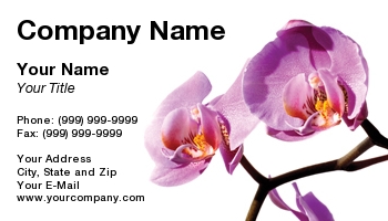 Featured Designs | Floral | Nature | Potpourri |--| At26960 | Concept | Florist | Flowers | Gardening | Oleksiy Maksymenko | Orchids | Purple