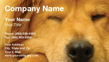 Animals | Featured Designs | Veterinarian |--| At27070 | Content | Dog | Dog Sitter | Doglovers | Dogs | Golden Retriever | Happy | Kennels | Maureen Plainfield | Pet Funeral | Pets | Walker