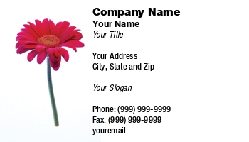 Featured Designs | Floral | Nature |--| Ali Taylor | At27170 | Background | Flower | Gerbera | Pink | Placed | Popular | Red | White