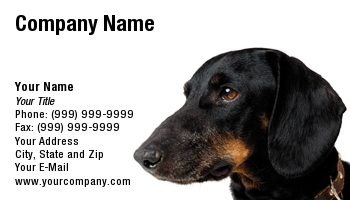 Animals | Featured Designs | Veterinarian |--| Animal Breeder | Animal Care | At27357 | Black | Concept | Cute | Dachshund | Dog | Dogs | Head | Oleksiy Maksymenko | Pet-psychologist | Pets | Veterinary | Veterinary Assistant