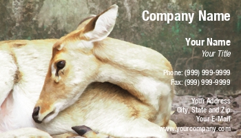 Animals | Featured Designs |--| Alice | Alice Mary Dehaven-herden | At27558 | Deer | Rocky Mountain Wildlife | Wildlife