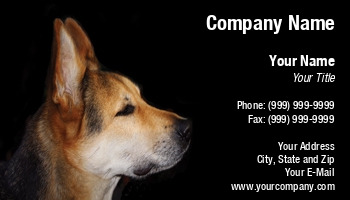 Animals | Featured Designs |--| Animal Breeder | Animal Care | At27570 | Beautiful | Card | Choice | Dog | Dog Bathing | Dog Kennel | Facilities | German | German Shepherd | Groomers | Liz Van Steenburgh | Obedience | Perfect | Pet-psychologist | Shepherd | Training | Units | Veterinarians