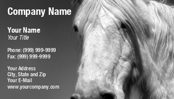 Animals | Featured Designs | Veterinarian |--| Allyson Ricketts | At27761 | Horse | Horseback Riding | Riding Instruction | White