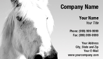 Animals | Featured Designs | Veterinarian |--| Allyson Ricketts | At27762 | Equestrian | Horse | Horseback Riding | Riding Instruction | White