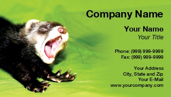 Animals | Featured Designs |--| Allyson Ricketts | At27763 | Ferret