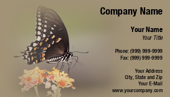 Featured Designs | Nature |--| At28231 | Butterfly | Cheryl Kunde | Monarch Butterfly
