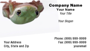 Animals | Domestic | Featured Designs |--| American | Amphibian | Amphibians | At29084 | Frog | Frogs | Green | Hanging | Kris Mercer | Tree | Tree Frog | Upside