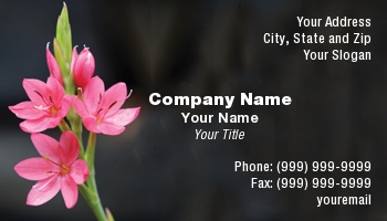 Featured Designs | Floral | Nature |--| At29171 | Funeral Services | Kris Mercer
