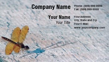 Featured Designs |--| At29269 | Dragonfly | Robin Tomaszewski