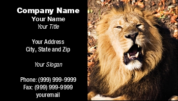 Animals | Featured Designs | Wild |--| African Animal | At29445 | Card! | Jungle | King | King Of The Jungle | Lion | Norma Cornes