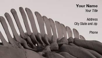 Featured Designs | Nature |--| Archaeology | At29459 | Bones | Maureen Plainfield | Paleontologist | Remains | Skeleton