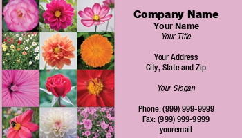 Featured Designs | Floral | Garden | Nature | Trades |--| At29552 | Collage | Collection | Color | Cosmos | Dahlia | Flowers | Ful | Glorious | Included | Lavatera | Norma Cornes | Roses | Summer | Vry