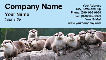 Featured Designs | Wild |--| Animal Breeder | Animal Care | At29565 | Exotic Pet | Exotic Pets | Norma Cornes | Otters | Pet-psychologist
