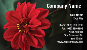 Featured Designs | Floral | Nature |--| At29583 | Background | Dahlia | Green | Norma Cornes | Red | Red Dahlia | Silky