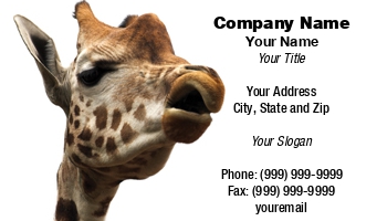Animals | Featured Designs | Wild |--| African Animal | Animal | At29636 | Comical | Giraffe | Looks | Norma Cornes | Picture | Speak | Zoo