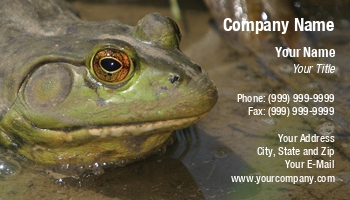 Featured Designs | Garden | Nature | Trades |--| Amphibian | Amphibians | Amphibious | Animal | At29756 | Bullfrog | Bullfrogs | Close | Frog | Frogs | Gardens | George Pappas | Marsh | Pet | Pets | Pond | Ponds | Shop | Shops | Store | Stores | Terrarium | Terrariums | Toad | Toads | Water | Wet | Wildlife