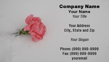 Featured Designs | Floral | Nature | Potpourri |--| At29781 | Carnation | Floral Design | Florist | Robin Tomaszewski | Wedding | Wedding Flowers