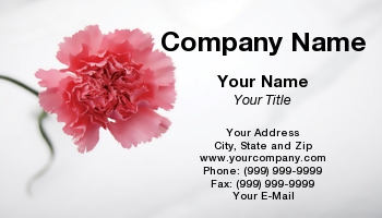Featured Designs | Floral | Nature | Potpourri |--| At29786 | Carnation | Floral Design | Florist | Flower | Robin Tomaszewski