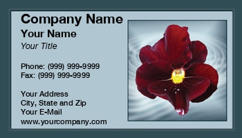 Featured Designs | Floral | Nature | Potpourri |--| At29834 | Background | Card | Deep | Drop | Florist | Gardener | Norma Cornes | Pansy | Petal | Red | Ripples | Water