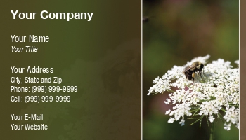 Featured Designs |--| At202792 | Bee | Beekeeper | Bumble Bee | Flower | Honey Bee | Image | Todd Arena