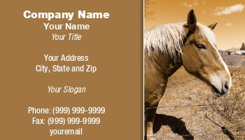 Featured Designs |--| At203773 | Closeup | Horse | Horse Trainer | Stud Farm | Todd Arena