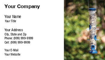 Featured Designs |--| At211162 | Bird | Birdseed | Darryl Brooks | Feed Consultant | Feed Dealer | Feeder | Forest | Fresh