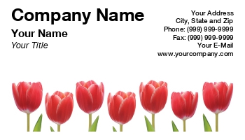 Featured Designs |--| At213009 | Florist | Flower | Mr Chris Elwell | Tulip