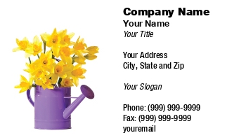 Featured Designs | Garden | Trades |--| Arrangers | At213641 | Background | Brightly | Colored | Companies | Daffodil | Equipment | Filled | Florist | Flower | Flowers | Ideal | Industry | Mr Chris Elwell | Plant Watering Service | Purple | Retail | Selling | Spring | Tools | Watering | White