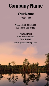 Featured Designs | Nature |--| Alicia Pastiran | Amazing | At214611 | Beautiful | Calm | Cypress | George | Georgia | Park | Reflection | Smith | State | Sunset | Swamp | Wind