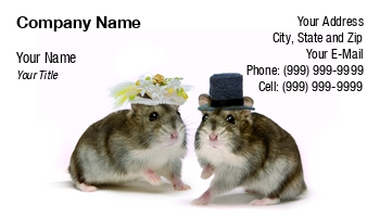 Featured Designs | Weddings |--| Anneke Schram | At221257 | Bride | Groom | Hamsters | Hats | Pets | Wearing | Wedding