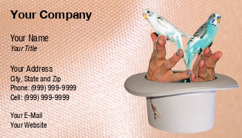 Entertainment | Featured Designs | Magician |--| At222384 | Awesome | Business | Card | Robert Carner | Template