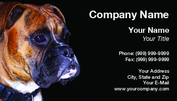 Animals | Featured Designs | Grooming |--| Animal Shelter | At222388 | Boxer | Dog | Dog Kennel | Pet | Pet Sitting | Rebel | Robert Carner | Wonderful | Young