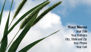 Farm | Featured Designs |--| At222425 | Environmental Science | Healthy | Millet | Robert Carner | Sky | Summer