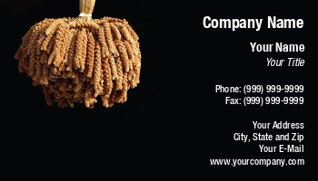 Farm | Featured Designs | Health | People |--| Agricultural | Agricultural Product | Agriculture | At223927 | Bunch | Card | Cereal | Closeup | Farms | Grain | Grains | Great | Health Food | Millet | Natural | Nutrition | Organic | Products | Shi Yali | Supplements