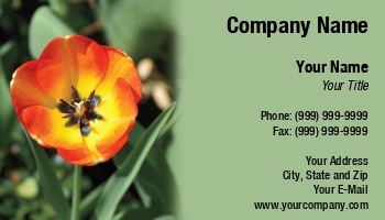 Featured Designs | Floral | Garden | Nature | Trades |--| At220511 | Botanists | Businesses | Chris Bradshaw | Close | Design | Events | Florist | Florists | Flower | Garden Maintenance | Gardeners | Landscape | Nature Photography | Pansy | Seasonal | Shop | Spring | Suitable | Summer | Sunlight | Tulip