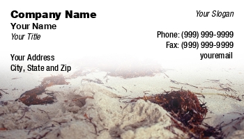 Beach | Featured Designs | Nature |--| At225228 | Image | Michael Thompson | Oceanographer | Oceanography | Oceanology | Sea Life | Seaweed