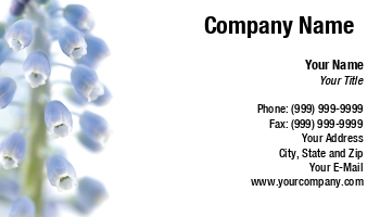 Featured Designs | Floral | Nature |--| Arrangers | Arts | At227190 | Company | Delicate | Floral Arts Company | Florist | Florists | Flower | Flower Arrangers | Graeme Dawes | Grape | Ground | Hyacinth | Photograph | Pure | Suitable | White