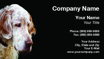 Animals | Featured Designs | Grooming |--| At227547 | Dog | Dog Grooming | English | Expression | Graeme Dawes | Haughty | Melancholy | Perfect | Services | Setter | Veterinary | Veterinary Servicesveterinary Assistant