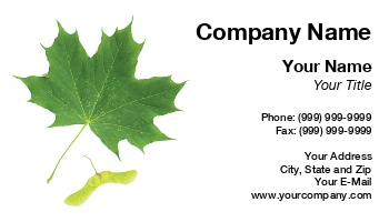 Featured Designs | Nature |--| At229355 | Botany | Canada | China | Considered | Fall Leaf | Foliage | Japan | Leaf | Leaves | Love | Maple | Maple Leaf | Maxal Tamor | Symbol