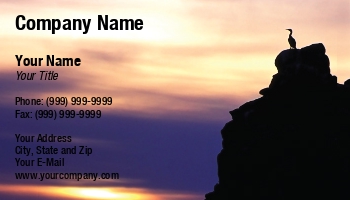 Featured Designs | Nature |--| At229726 | Background | Card | Colorful | Duck | Great | Image | Nature Photographer | Photographers | Photography | Rock | Sitting | Sunset | Tim Hester | Travel Photographer