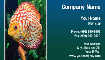 Featured Designs |--| Aquarium | Aquarium Fishes | Aquarium Maintenance | Aquariums | At229733 | Business | Card | Darryl Brooks | Dealing | Discus | Discus Fish | Fish | Fish Hatchery | Freshwater Aquarium | Great | Image | Tropical Fishes