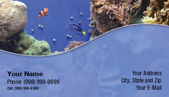 Featured Designs |--| Aquarium | Aquarium Fishes | Aquariums | At229750 | Background | Business | Card | Coral | Darryl Brooks | Dealing | Fishes | Freshwater Aquarium | Great | Image | Tropical Fish | Tropical Fish Servicing