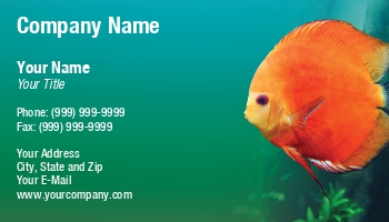 Featured Designs |--| Aquarium | Aquarium Fishes | Aquarium Maintenance | Aquariums | At229849 | Business | Card | Darryl Brooks | Dealing | Discus | Discus Fish | Fish | Fish Hatchery | Freshwater Aquarium | Great | Image | Tropical Fishes