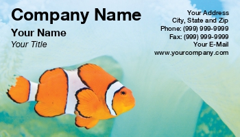 Featured Designs |--| Aquarium | Aquarium Fishes | Aquarium Maintenance | Aquariums | At229850 | Business | Card | Darryl Brooks | Dealing | Fish | Freshwater Aquarium | Great | Image | Tropical | Tropical Fish Servicing | Tropical Fishes