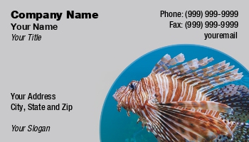 Featured Designs |--| Aquarium | Aquarium Fishes | Aquariums | At229851 | Business | Card | Darryl Brooks | Dealing | Fish Hatchery | Great | Image | Lion | Saltwater Aquarium | Sea | Sea Lion | Tropical Fishes
