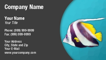 Featured Designs |--| Aquarium | Aquarium Maintenance | At229855 | Business | Card | Darryl Brooks | Dealing | Fish | Great | Image | Tropical