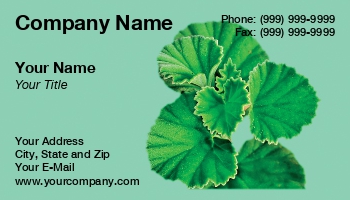 Featured Designs | People |--| Africa | At229984 | Cough | Hans-joachim Schneider | Herbal | Herbal Medicine | Immune | Medicine | Plant | Stimulation | Umckaloabo | Zulu
