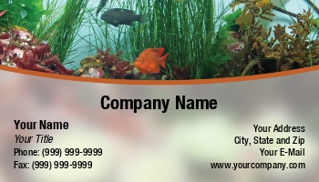 Featured Designs |--| Aquarium | Aquarium Fishes | Aquarium Maintenance | Aquariums | At230119 | Business | Card | Darryl Brooks | Dealing | Fish | Freshwater Aquarium | Great | Image | Pet Food | Pet Shop | Plantation | Saltwater Aquarium | Tropical | Tropical Fish Servicing | Tropical Fishes