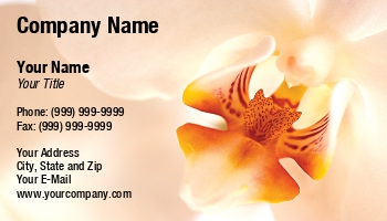 Featured Designs |--| At231354 | Floral Photography | Florist | Flowers | Folral Decorators | Orchid | Orchid Flowers | Tomas Pavlasek | White | White Orchid
