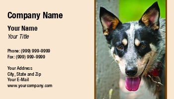 Featured Designs |--| At232169 | Closeup | Dog | Lovers | Mobile Pet Grooming | Option | Pet | Pet Boarding | Pet Care | Pet Grooming | Pet Grooming Supplies | Pet Sitting Service | Photograph | Tim Hester